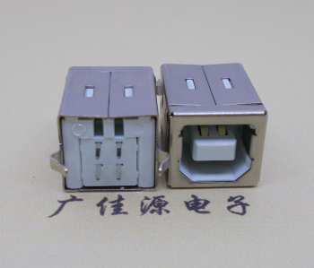 山东USB BF180度母座 打印机接口 立式直插带赛