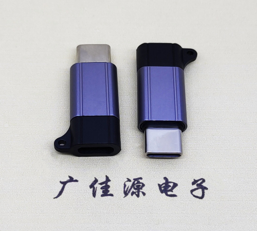 山东Type-C母转Type-C公 USB3.1 PD100W快冲接口